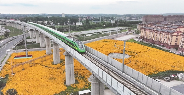 鹤岗：让绿色成为城市最动人的底色