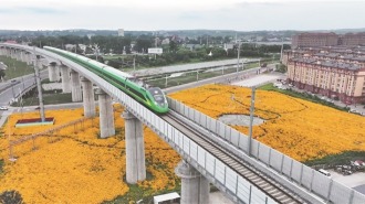 鹤岗：让绿色成为城市最动人的底色