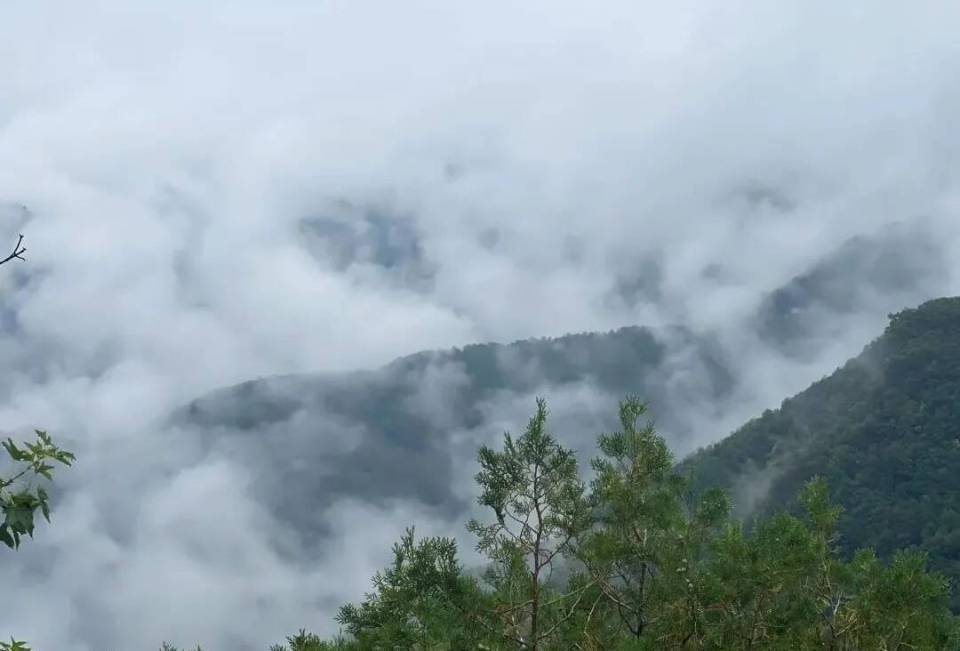 山东泰安：当夏日的风拂过泰山 云端上的美景让你一眼心动！_fororder_3