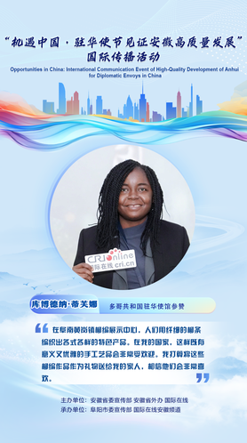 多哥参赞佳句海报_fororder_微信图片_20241126141346