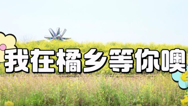 Ballad of Citrus Valley_fororder_微信截图_20250328151519